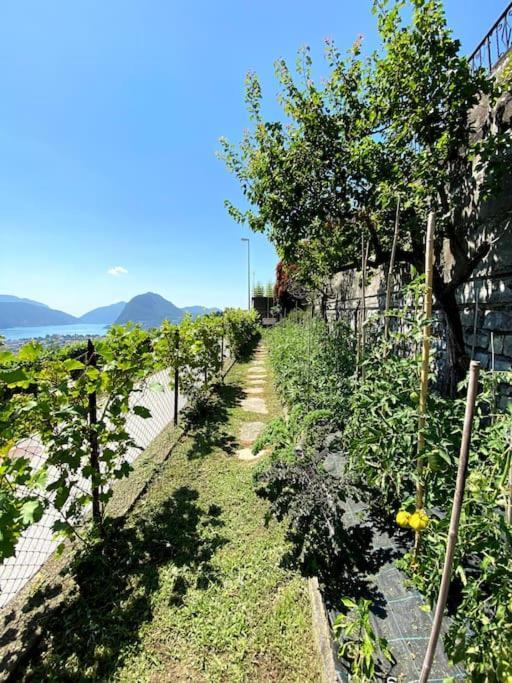 The Lemon Trees House Apartment Lugano Exterior photo